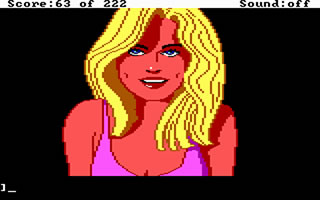 Screenshot zu Leisure Suit Larry in the Land of the Lounge Lizards