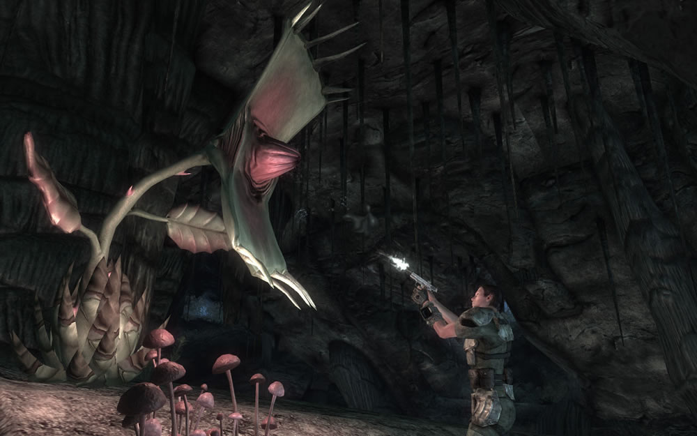 Screenshot zu Fallout: New Vegas - Honest Hearts (DLC)